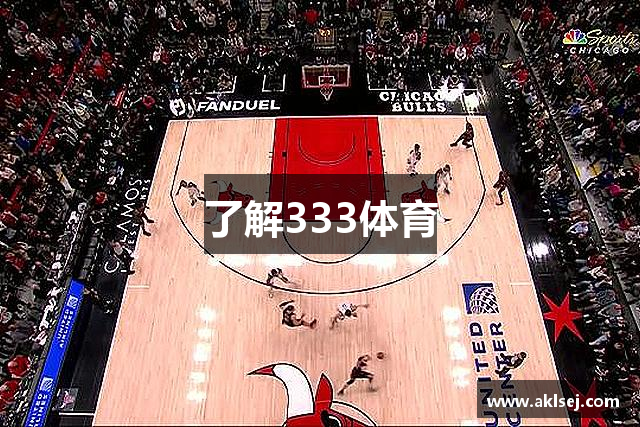 了解333体育